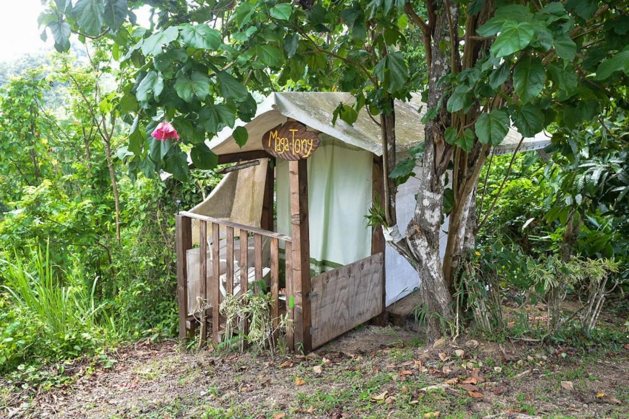 Camping Para Dos - A Escoger Segun Disponibilidad De Caseta O Cabana Caguas Exterior photo