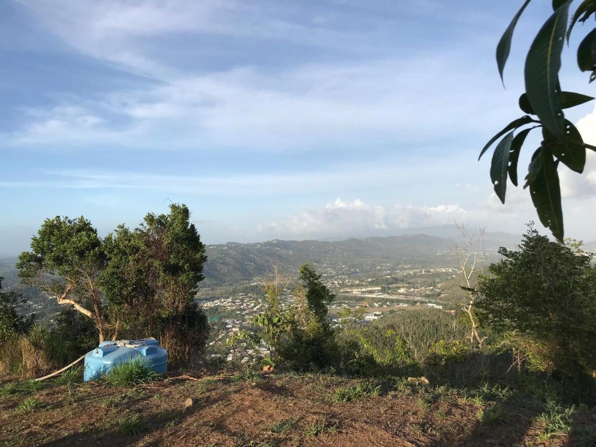 Camping Para Dos - A Escoger Segun Disponibilidad De Caseta O Cabana Caguas Exterior photo
