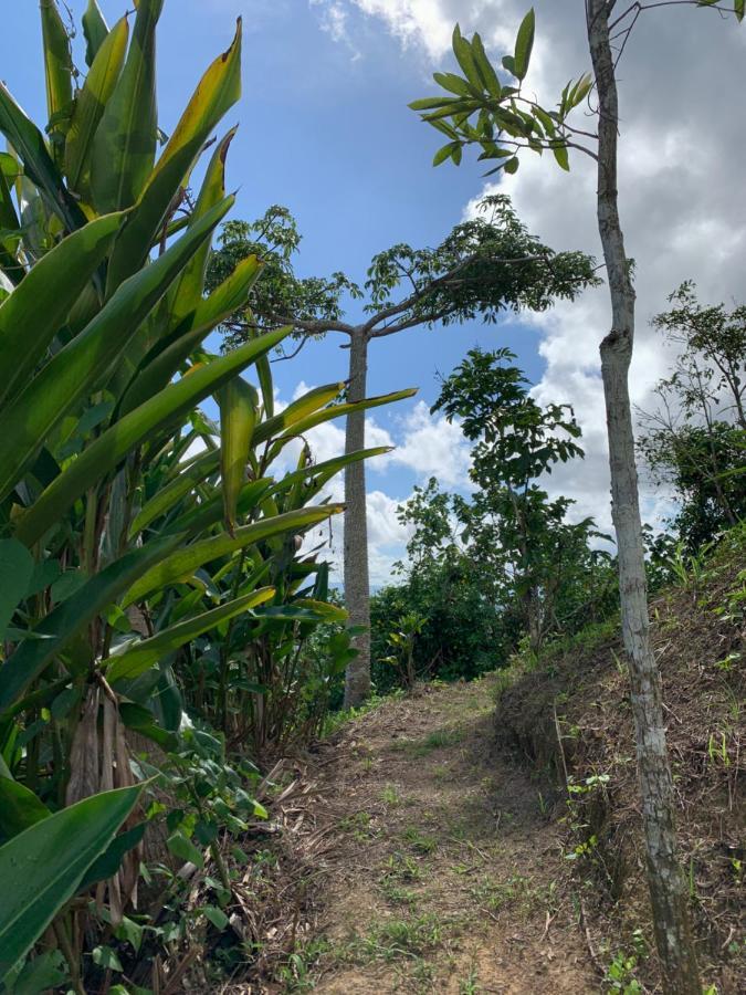 Camping Para Dos - A Escoger Segun Disponibilidad De Caseta O Cabana Caguas Exterior photo