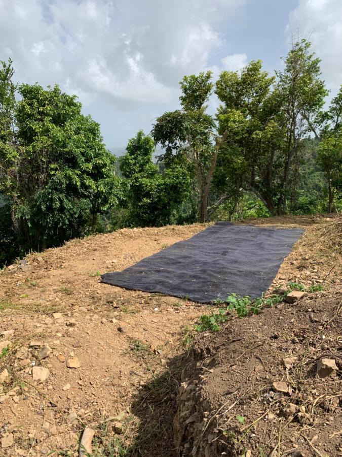 Camping Para Dos - A Escoger Segun Disponibilidad De Caseta O Cabana Caguas Exterior photo