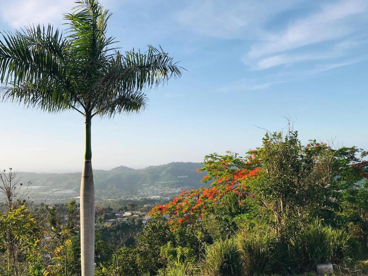 Camping Para Dos - A Escoger Segun Disponibilidad De Caseta O Cabana Caguas Exterior photo