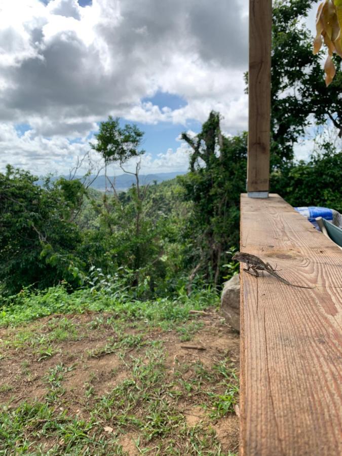 Camping Para Dos - A Escoger Segun Disponibilidad De Caseta O Cabana Caguas Exterior photo