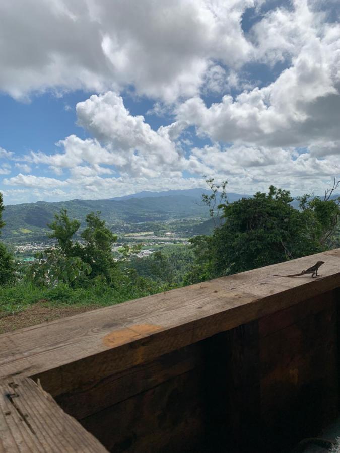Camping Para Dos - A Escoger Segun Disponibilidad De Caseta O Cabana Caguas Exterior photo