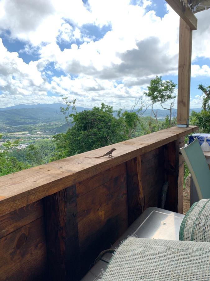 Camping Para Dos - A Escoger Segun Disponibilidad De Caseta O Cabana Caguas Exterior photo
